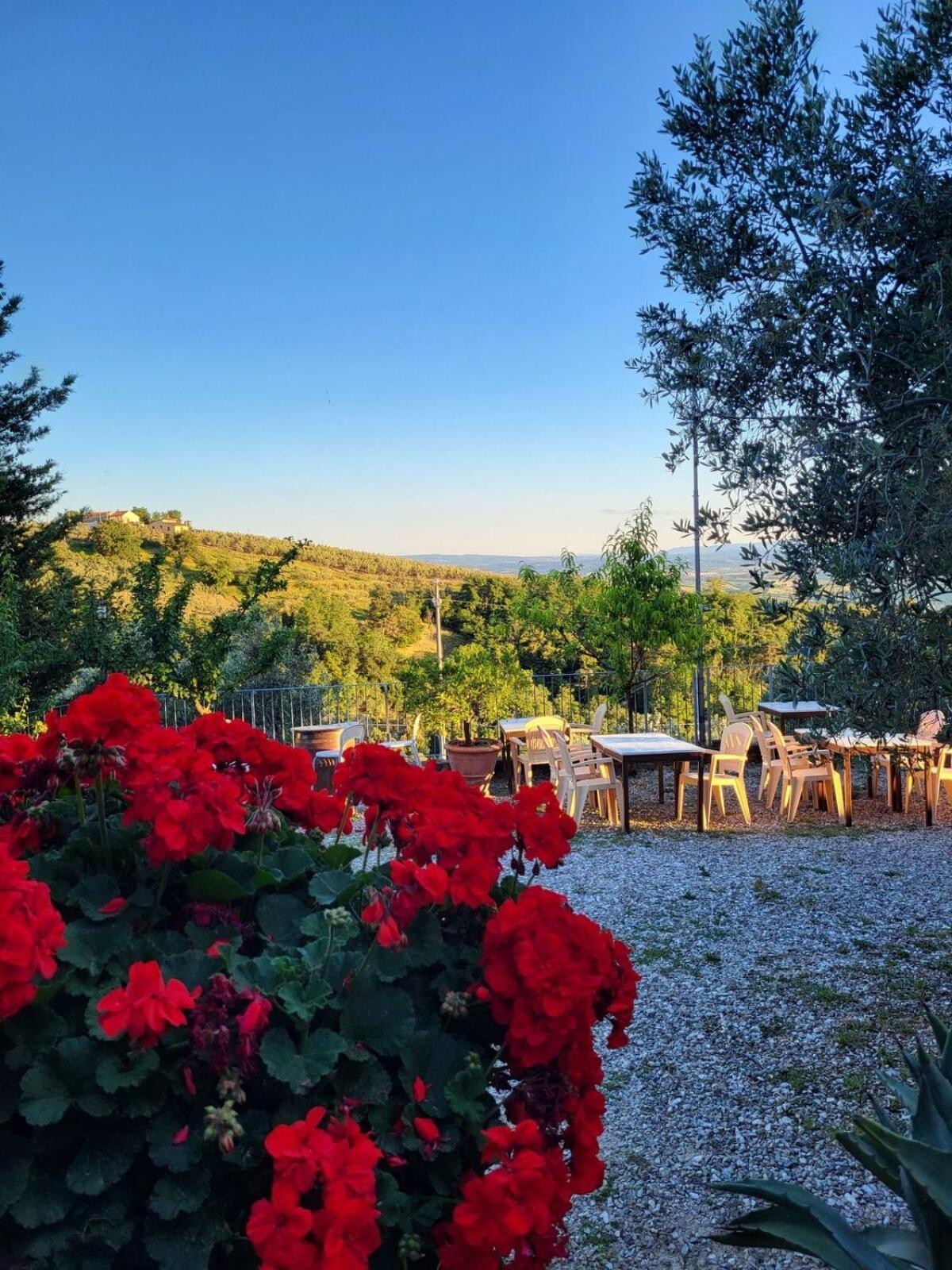 Farm stay Agriturismo La Gioconda Vinci