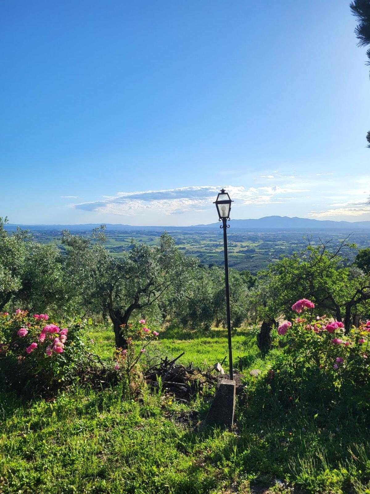 La Gioconda Agroturismo